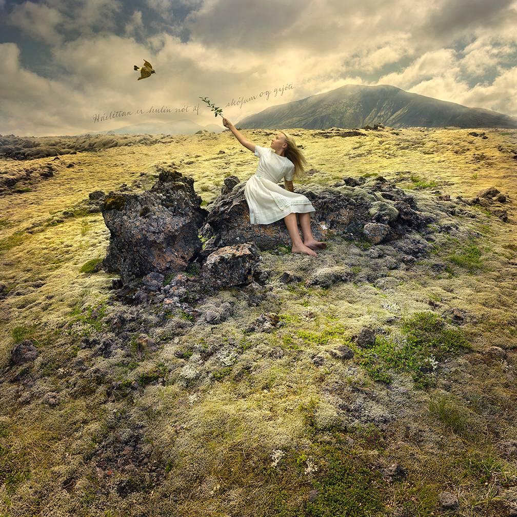 Tom Chambers Color Photograph - Last Bough