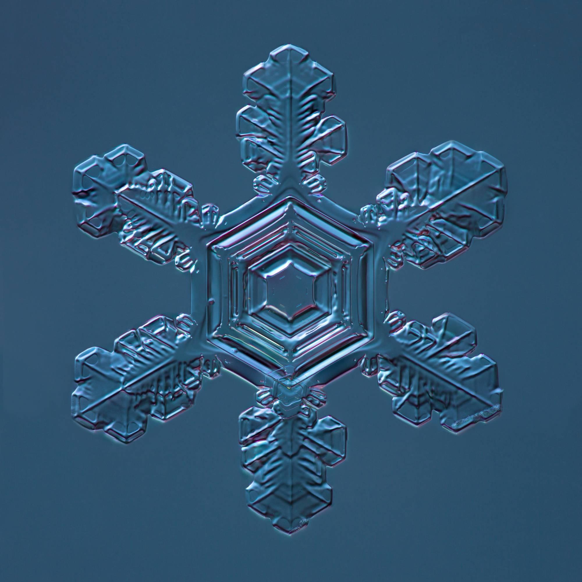 Douglas Levere Color Photograph - Snowflake 2015.02.04.001