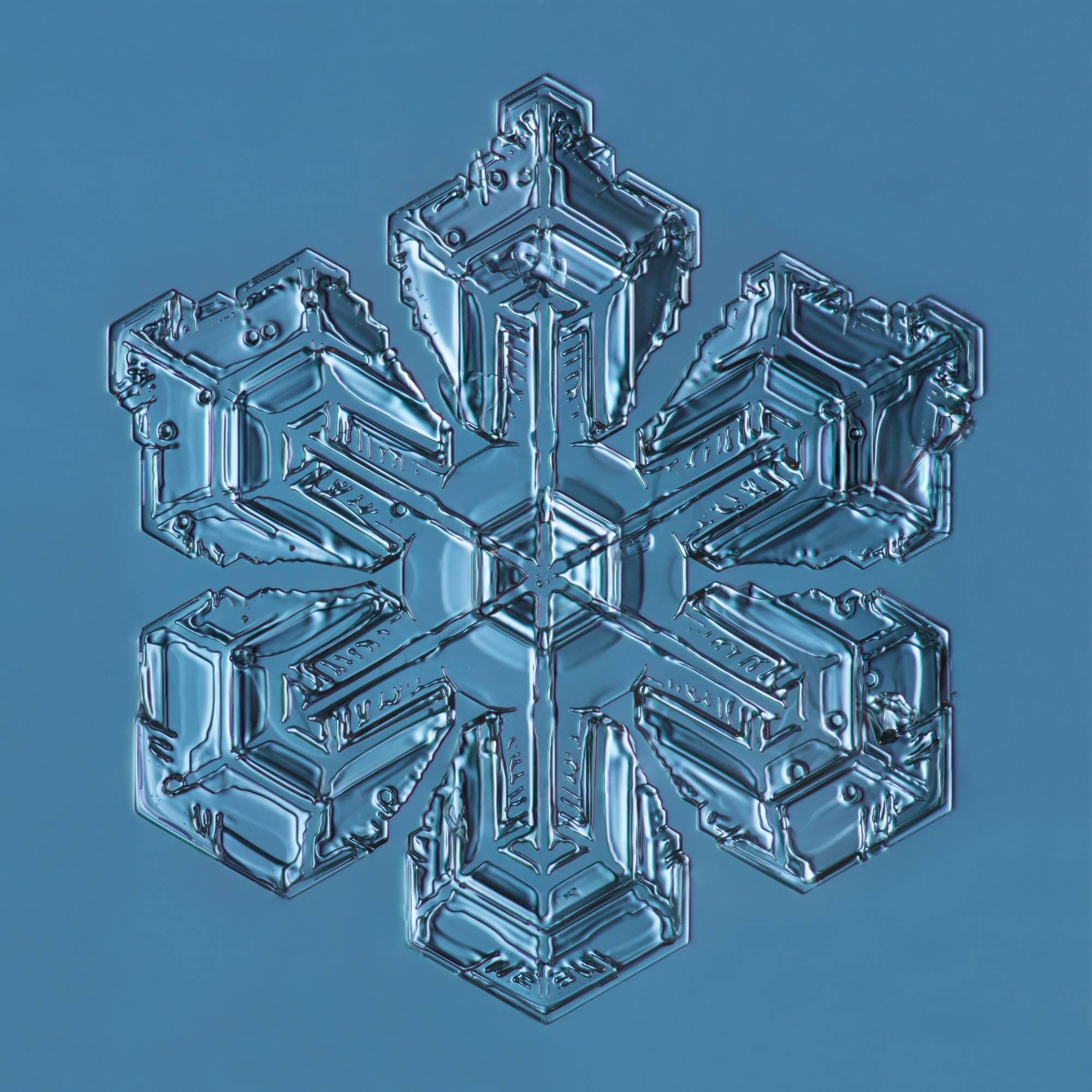 Douglas Levere Color Photograph - Snowflake 2015.01.26.001