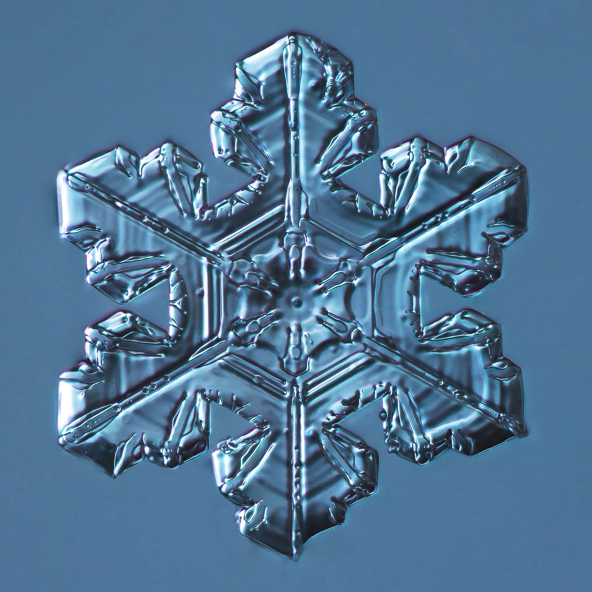 Snowflake 2014.03.23.005 - Photograph by Douglas Levere