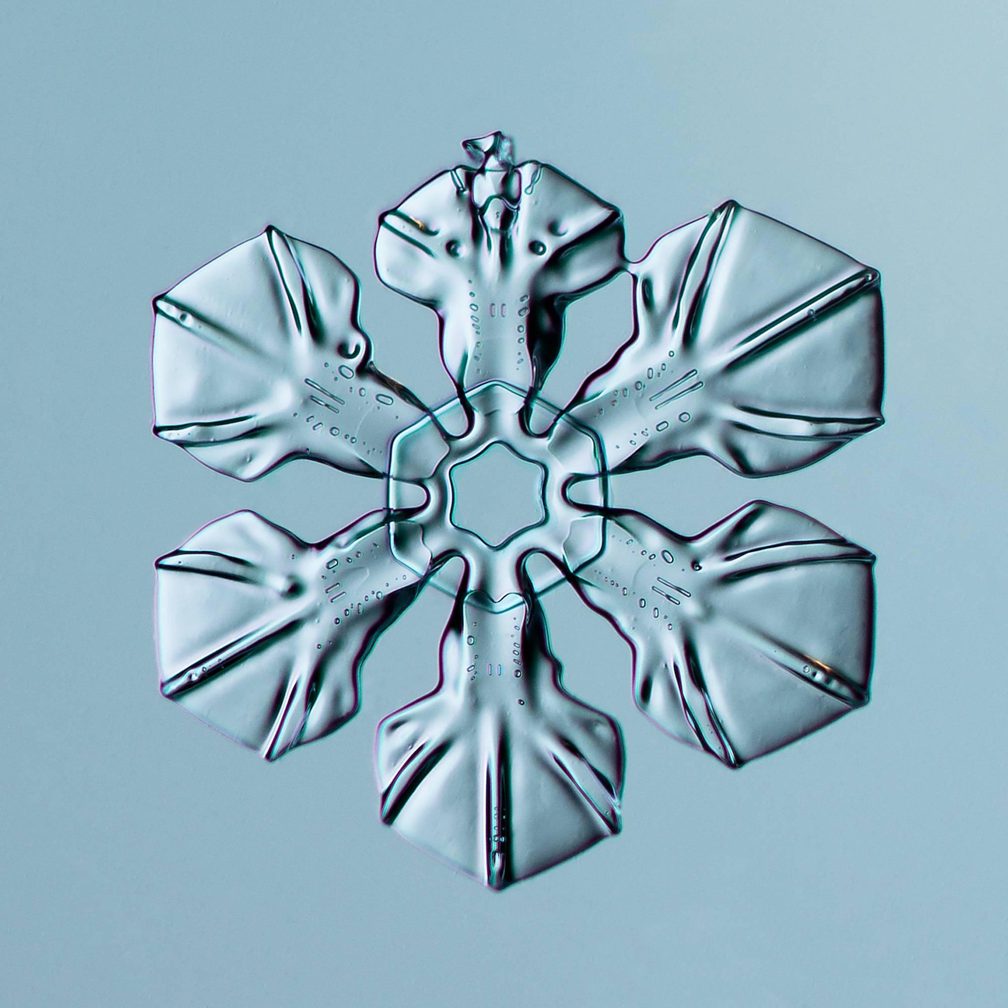 Douglas Levere Color Photograph - Snowflake 2014.02.16.024 