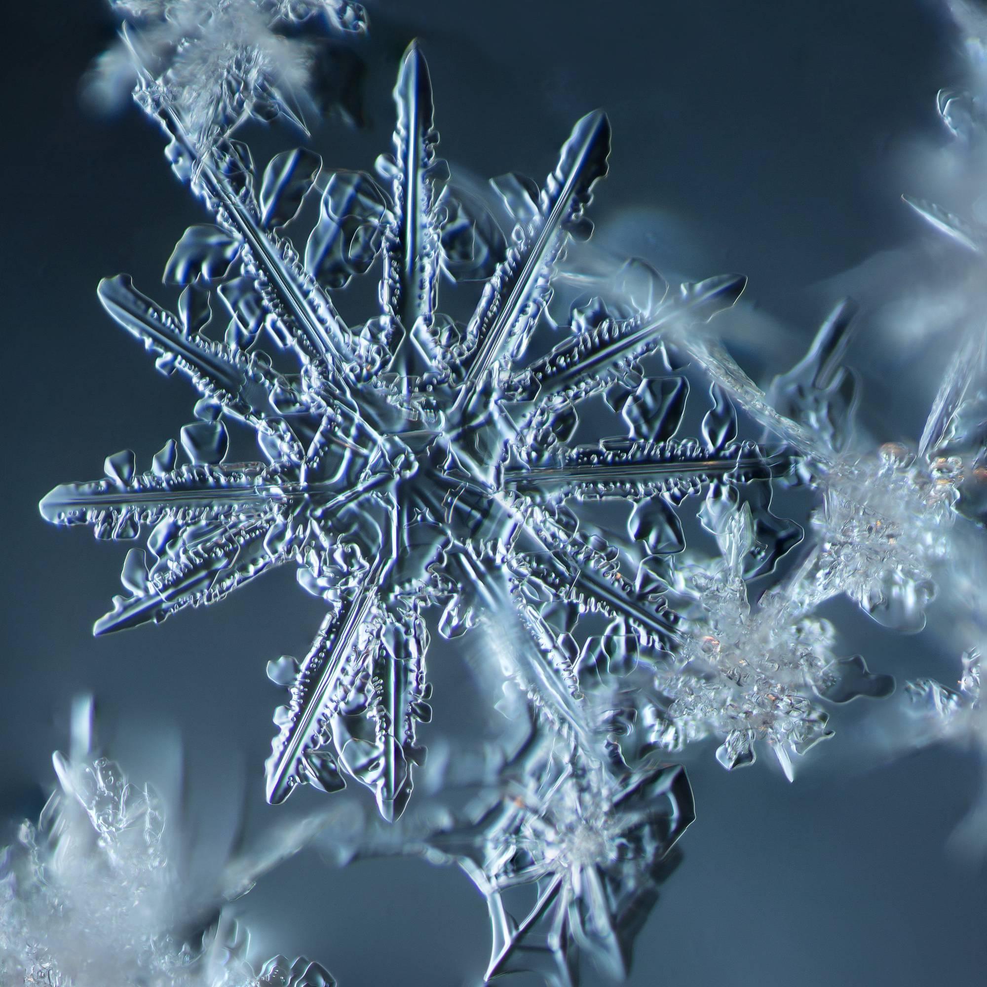 Douglas Levere Color Photograph - Snowflake 2014.02.09.007 