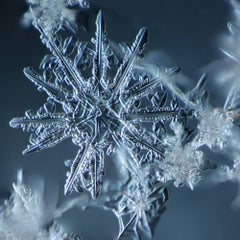Snowflake 2014.02.09.007 