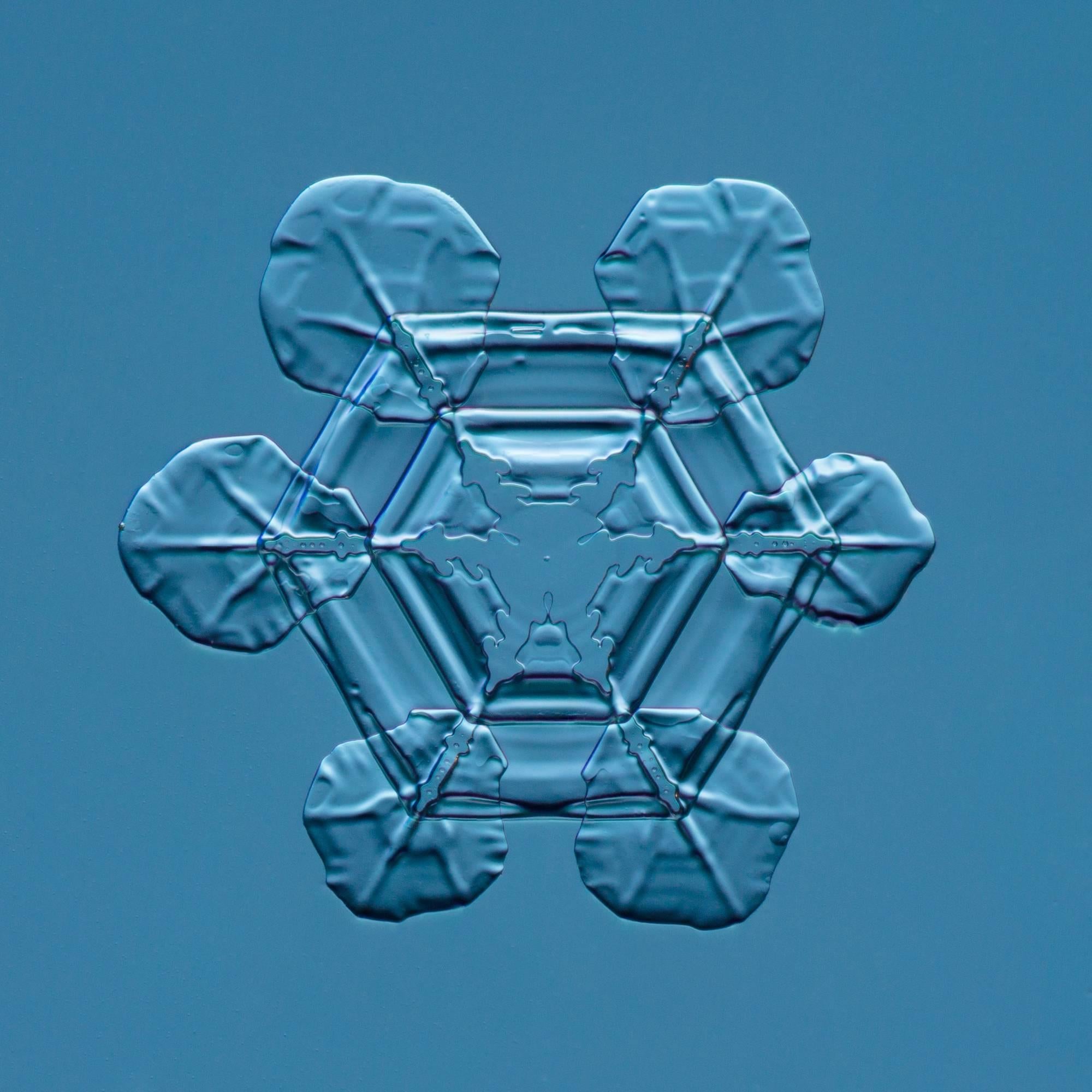 Douglas Levere Color Photograph - Snowflake 2015.02.25.007 