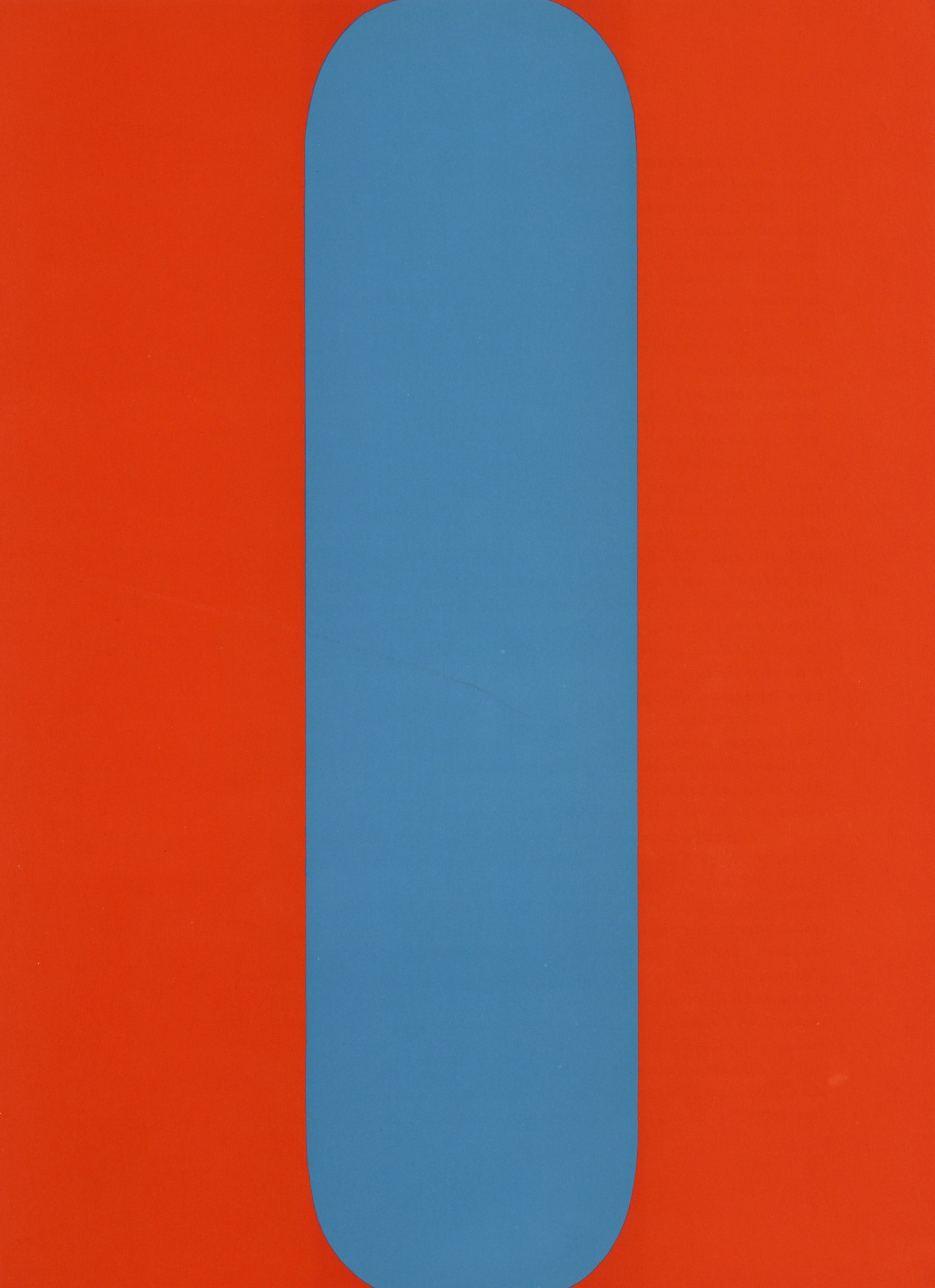 What materials did Ellsworth Kelly use?