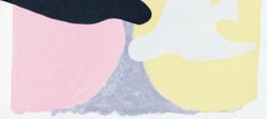 Georges Braque, Untitled, from Birds, Saint-John Perse, 1966 (after)