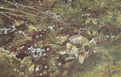 Andrew Wyeth, Quaker Ladies, from The Four Seasons, 1962 (after)