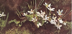Andrew Wyeth, May Day, from The Four Seasons, 1962 (after)
