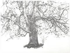 Andrew Wyeth, New Leaves, from The Four Seasons, 1962 (after)