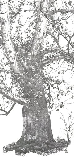 Andrew Wyeth, New Leaves, from The Four Seasons, 1962 (after)