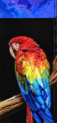 Ian Hornak, Scarlet and Blue Macaw, 1985-1986