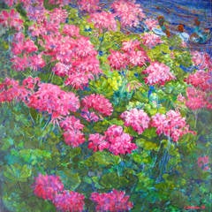 Geraniums 5