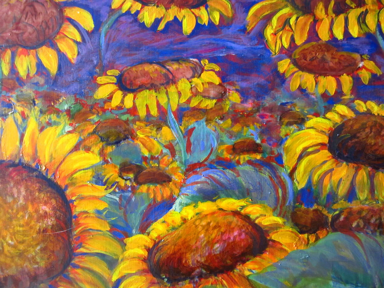 Sunflower fields For Sale 1