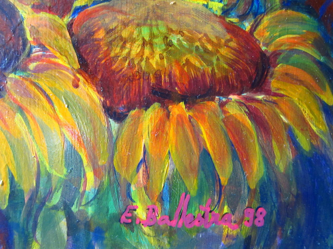 Campos de girasol en venta 4