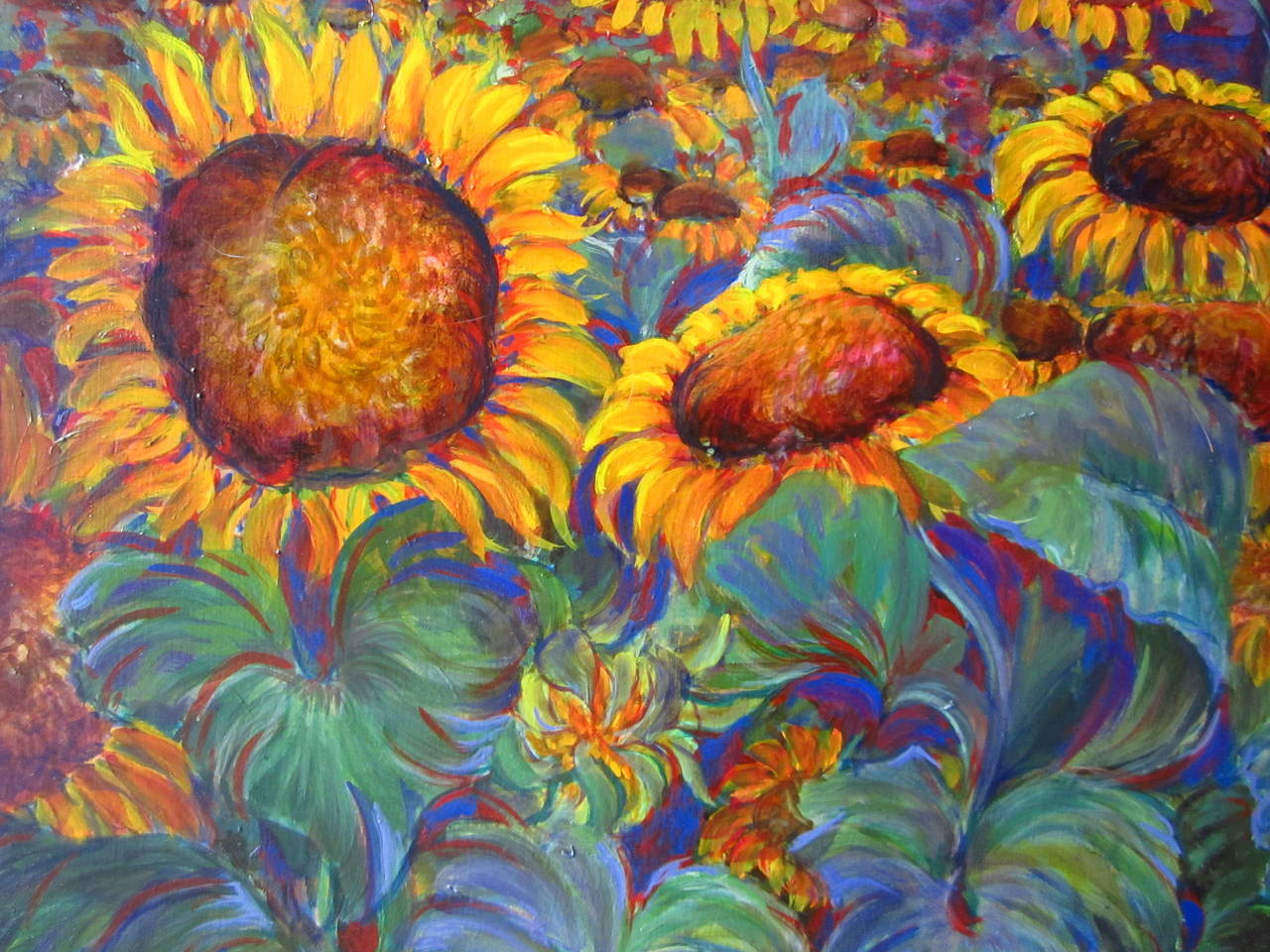 Campos de girasol en venta 5