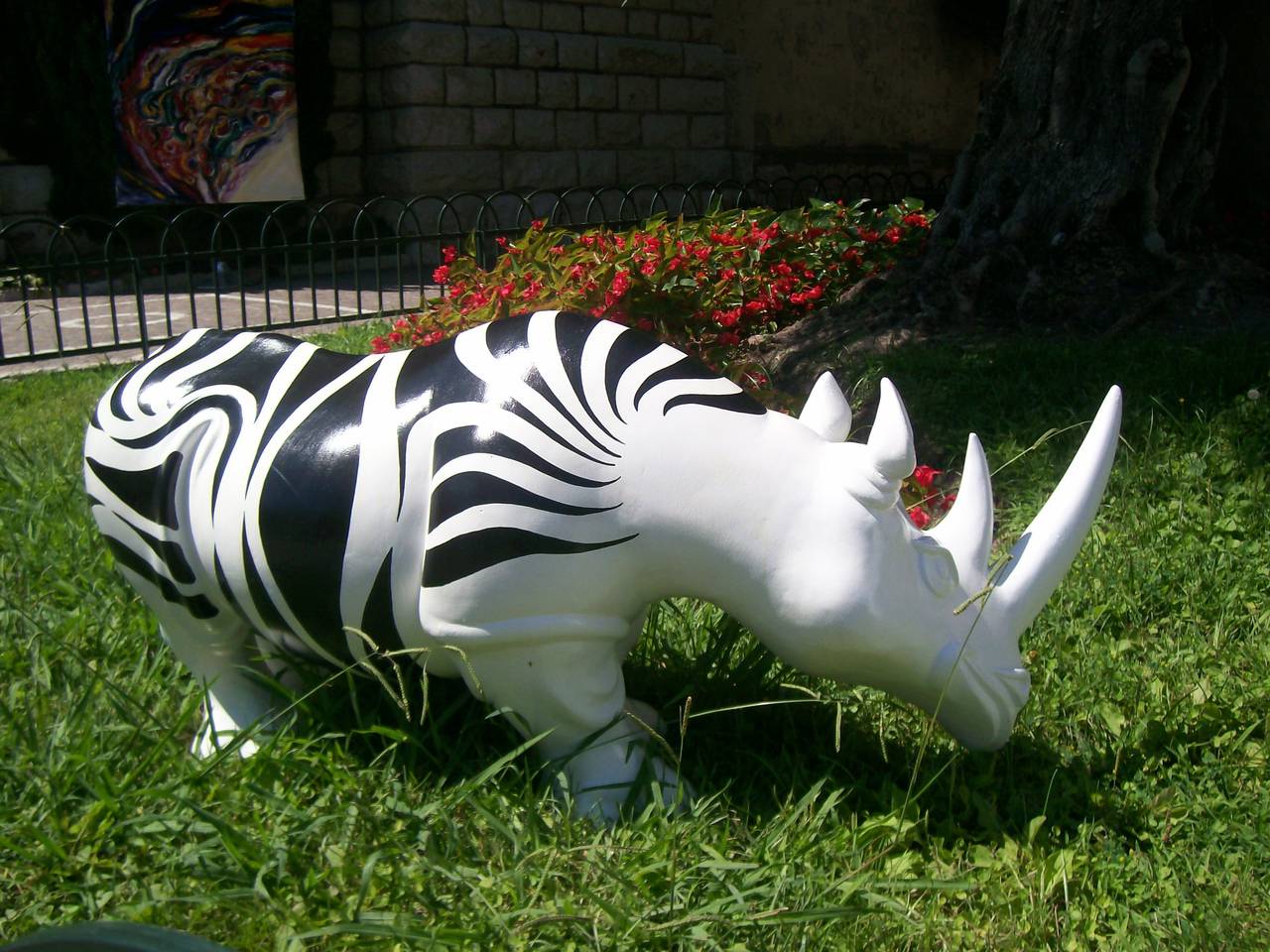 rhinoceros zebra