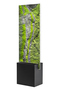Digitaler Clift – Luftaufnahme des grünen Waldes