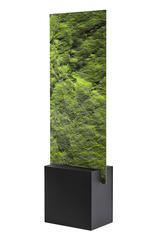 Digital Clift - Green Forest Aerial View