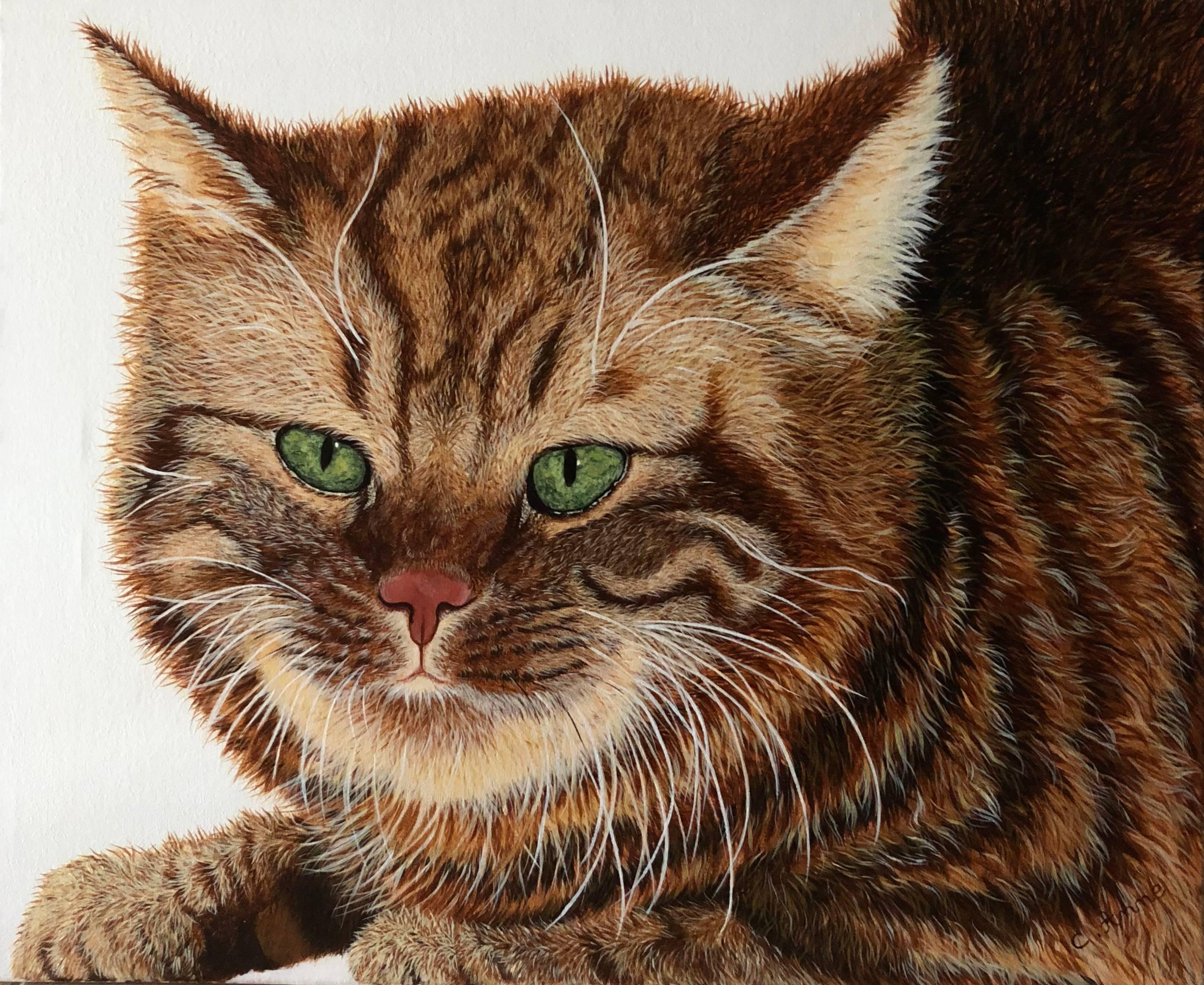 Carole Anne Animal Painting - Ronchon
