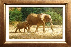 Mamma elefante e cucciolo