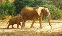 Mamma elefante e cucciolo