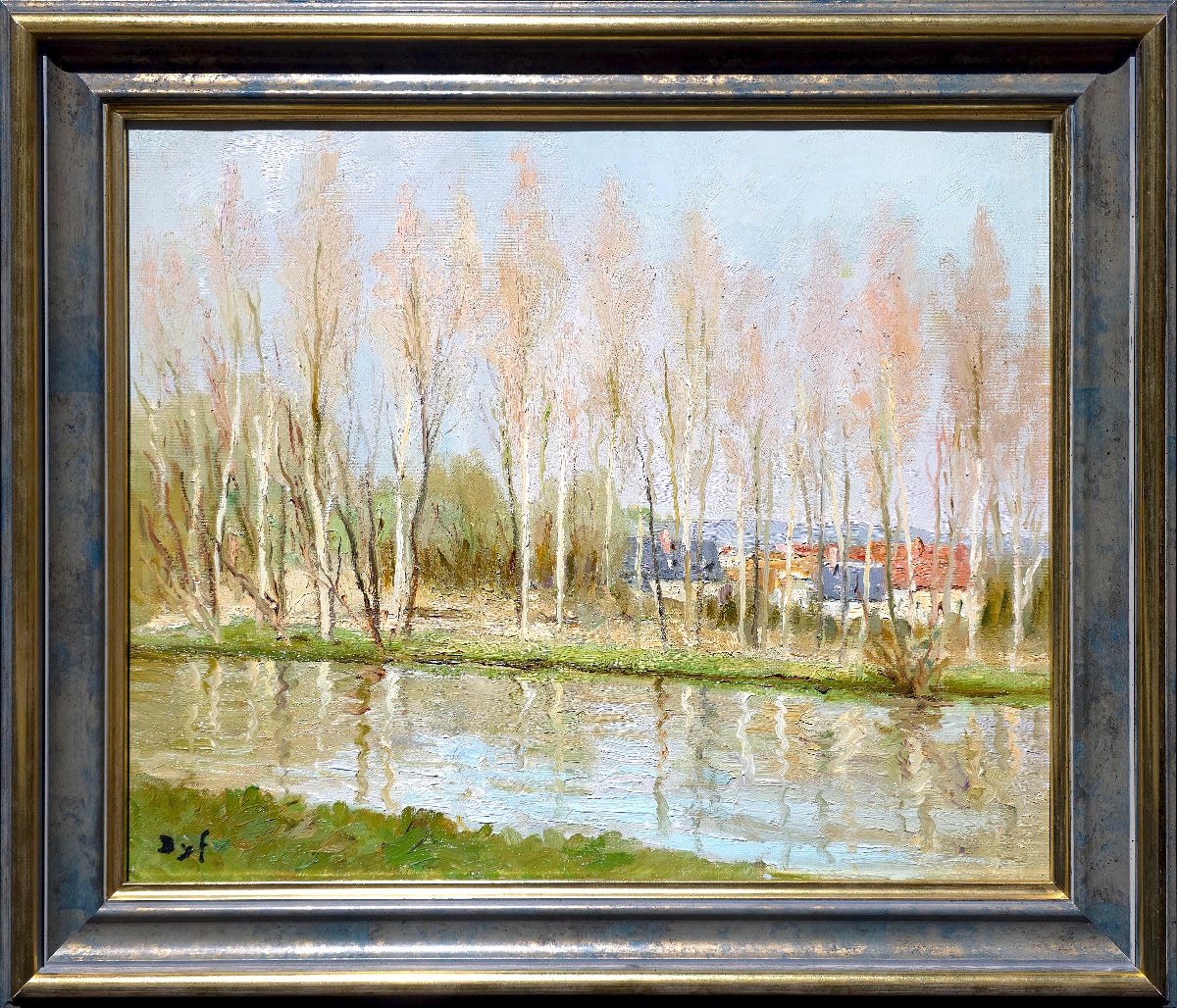 Fila di alberi lungo il fiume