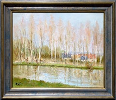 Hileras de árboles a lo largo del río