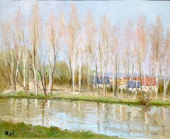 Hileras de árboles a lo largo del río