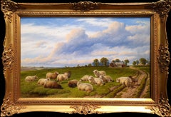Summer Grazing
