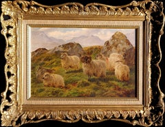 Hochlandweiden