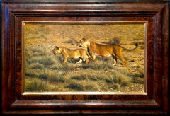 Lioness and Cub, Samburu, Kenya