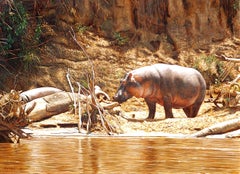 Hippos by the Maasai Mara River