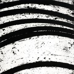 1 of 5 "Between the Torus and the Sphere I-V" 3