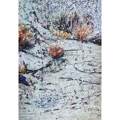 Frozen Pond 2