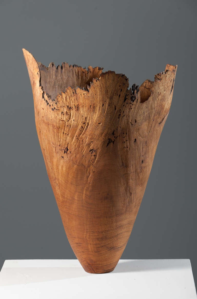 Abstract Sculpture Anthony Bryant - Vessel en ronce de chêne 3