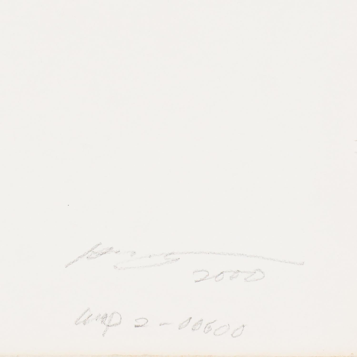 WOP 2-00600 - Gray Abstract Drawing by Hiro Yokose