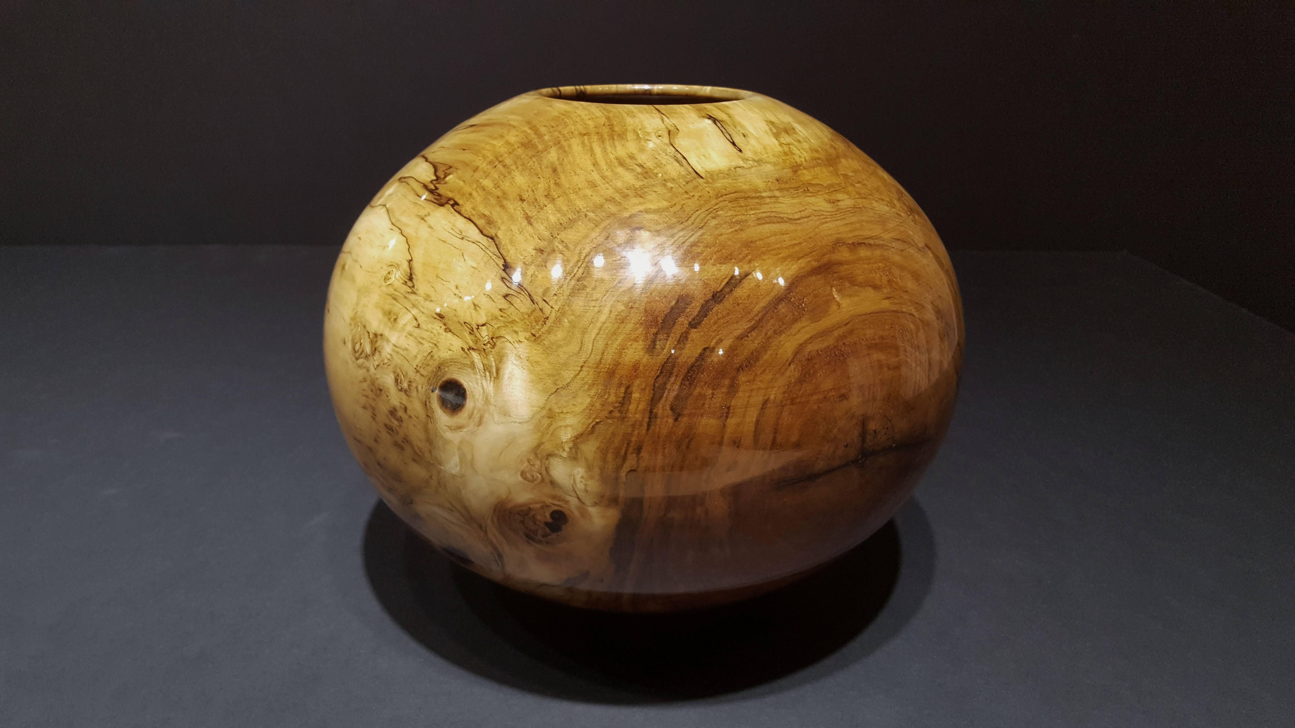 Spalted Silver Maple 351 1
