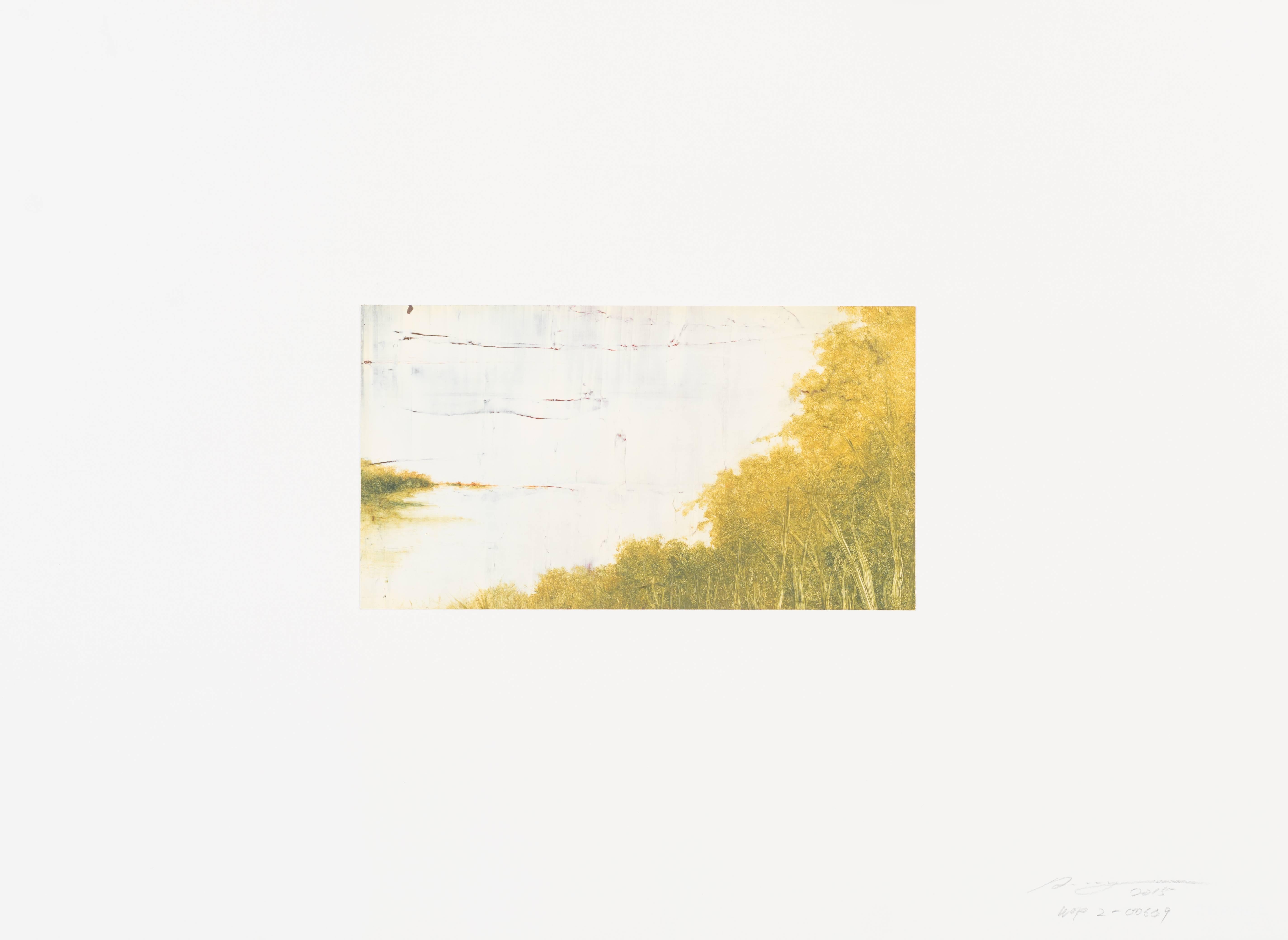 Hiro Yokose Landscape Painting - WOP 2 - 00649