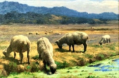 Weidelandschaft von Almoloya del Río, Mexiko