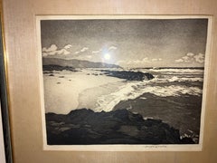 Hawaii Coastline Huc-Mazelet Luquiens