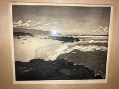 Hawaii Coastline Huc-Mazelet Luquiens