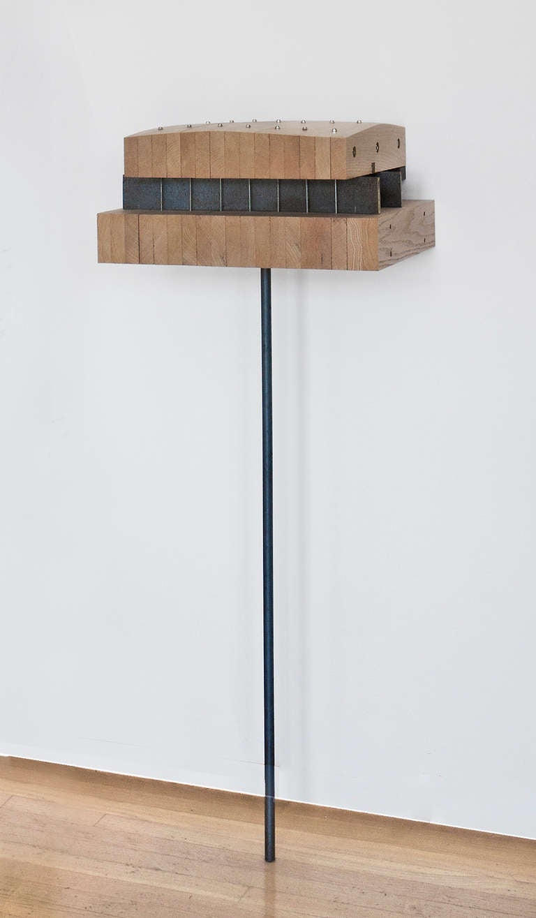 Evan Stoller Abstract Sculpture - Topo
