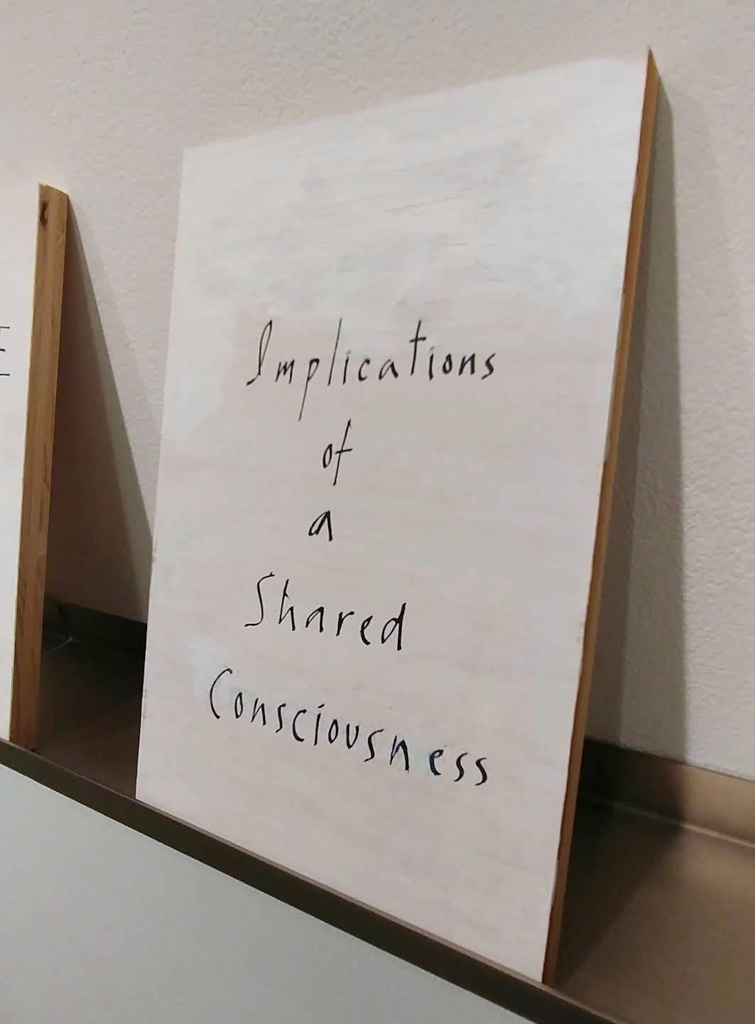 Ruth Green's Implications of a Shared Consciousness is created with gesso on plywood with black acrylic artists ink. The piece is primarily white and black.

Ruth Greene’s “books” are an ongoing conceptual series that are seductively painted on
