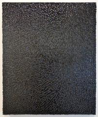 Variation de Mesalina Negra