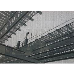 Elevated 12