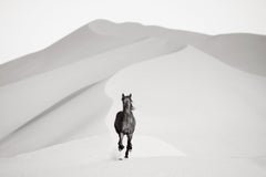 Un cheval noir au galop à travers les dunes de sable du désert blanc