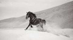 Galloping Black Horse Across White Desert Sand Dunes