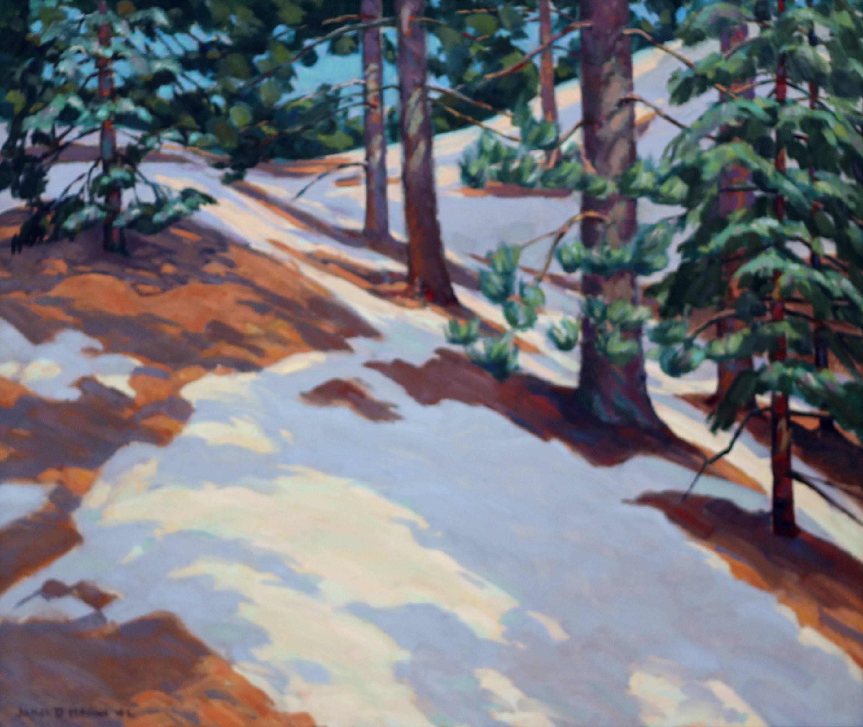 James Dexter Havens Landscape Painting - Sunlight Through Trees