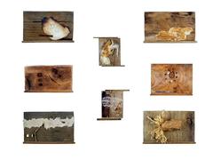 Wood equals paper 4