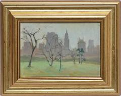 Morning from Central Park, New York City